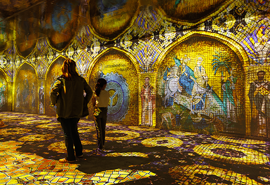 Cité Immersive Viking Rouen © David Morganti